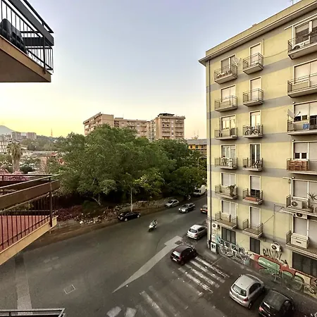 Black Meryliboon - * Catania