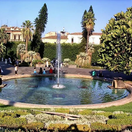 Black Meryliboon - * Catania